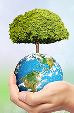 綠色環（huán）保