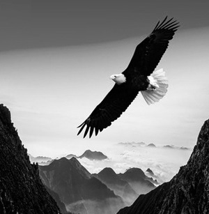 企業（yè）文化